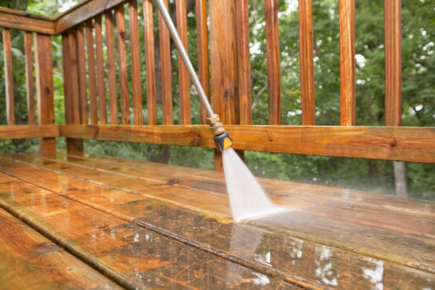 Best Building Exterior Washing  in Junction City, OR